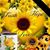 Beth Bais's profile image