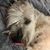 Lisa Arthur's profile image