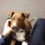 Mark McQuade's profile image