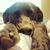Spj Jonesshelly's profile image