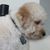 Sandy Bowen's profile image