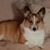 Pamelia Bowling's profile image