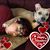 Gabriel Villarreal's profile image