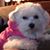 Ann Read's profile image