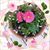 Julie Eaton Salisbury's profile image