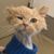 Thomas Van Houten's profile image