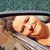 Stefanie Ann Ricard's profile image