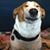 Jeff Anderson's profile image