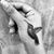 Jill Wehner's profile image