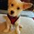 Linda Maeda Miyatake's profile image