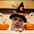 Kathy Bennett's profile image