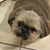 Bobbi Huckaby's profile image