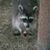 Charlie N Erica McMillan's profile image
