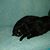 Lorna Klotzbach's profile image
