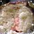 Amy Cat Fradella Palmer's profile image