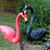 Stephanie Yoder's profile image