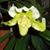 Barb Torgerson's profile image