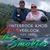 Jill Palecek's profile image
