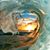 Debbie Digges Wade's profile image