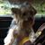 Delores Marie Holcomb-Rorie's profile image