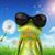 Lynne Mohler-Musgrave's profile image
