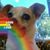 Wanda Palacios's profile image