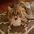 Sue Gimm's profile image