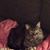 Eleanor Miller's profile image