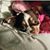 Keren Kinzelman McGirr's profile image