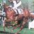 Lazaro Ruiz Lelen's profile image