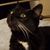 Trisha Jenkins's profile image