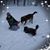 Christina Sebert-Tausch's profile image