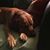 Dawn Mcdivitt's profile image