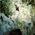 Krista Lynn D'vincent's profile image