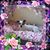 Amy Spears Hughes's profile image