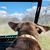 Elaine Ebner's profile image