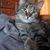 Ernie Timbrook's profile image