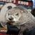 Bo Bindy's profile image