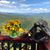 Noreen Lenke Marton's profile image