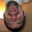 Brian Quaresma's profile image