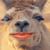 Dally Senesombath's profile image