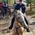 Kristy Lee Kortz's profile image