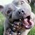 Shelly Eckel Hingsbergen's profile image