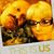 LaDonna Meldrum Dawes's profile image