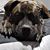 Benjamin C. Brinker's profile image