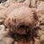 Carole DeTroy's profile image