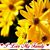 Yvonne Reed's profile image