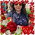 Beatriz Segura's profile image