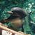 Lynne Snider's profile image