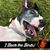 Mikey John Lichniak's profile image